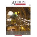 Atrium Construction 58